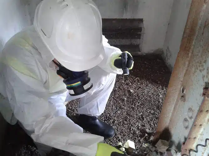 asbestos testing in Auckland