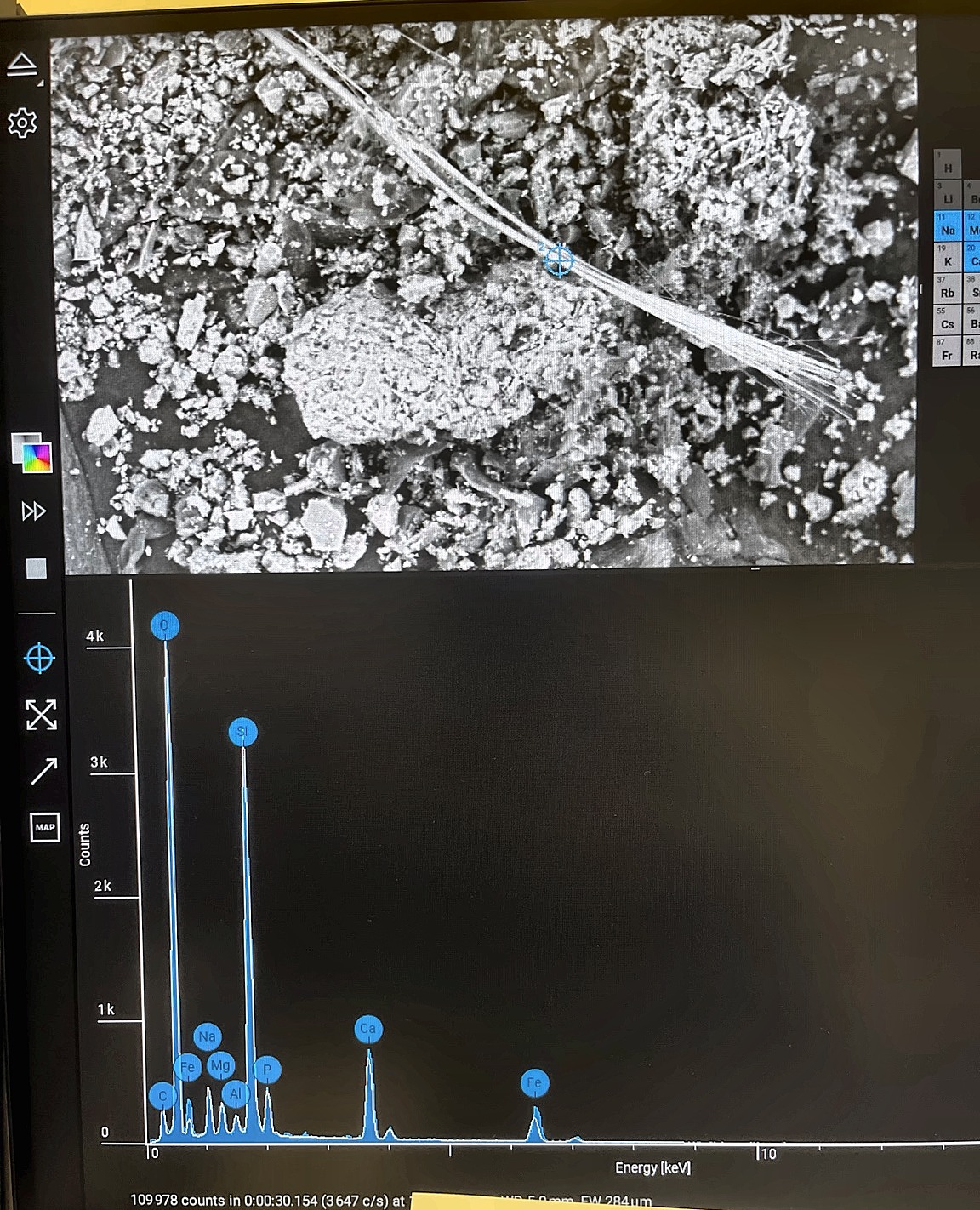 SEM micrograph and EDS elemental spectrum displayed during analysis